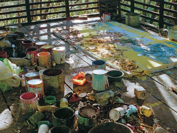 Vivian Suter sculpts her own meaning out of landscape painting