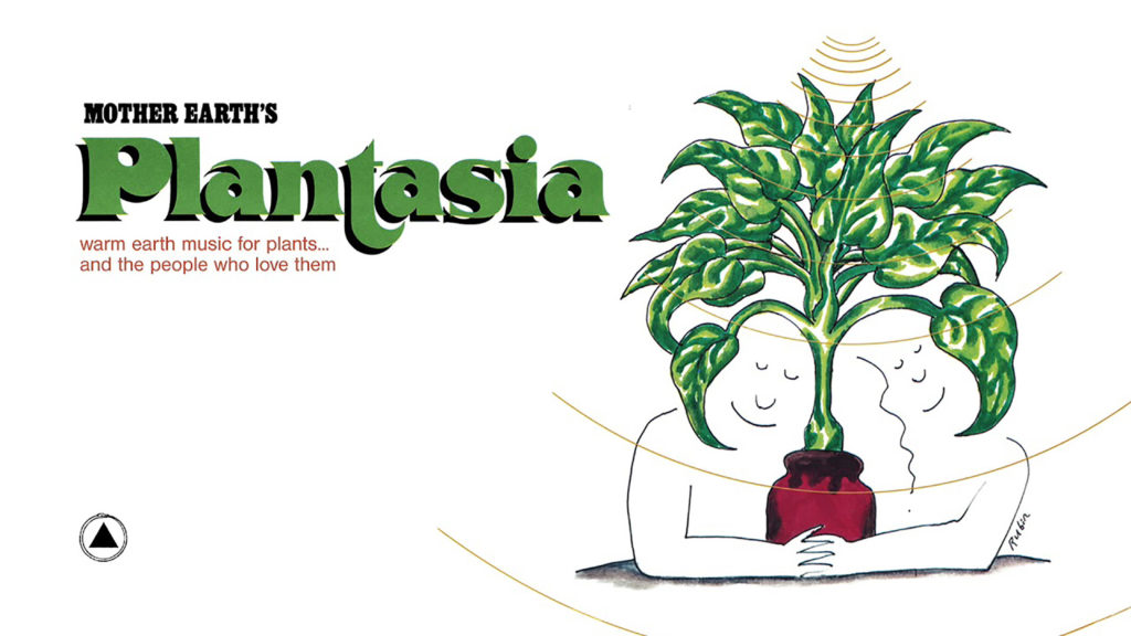 ‘Plantasia’ reissued how music for plants became the cult album of a