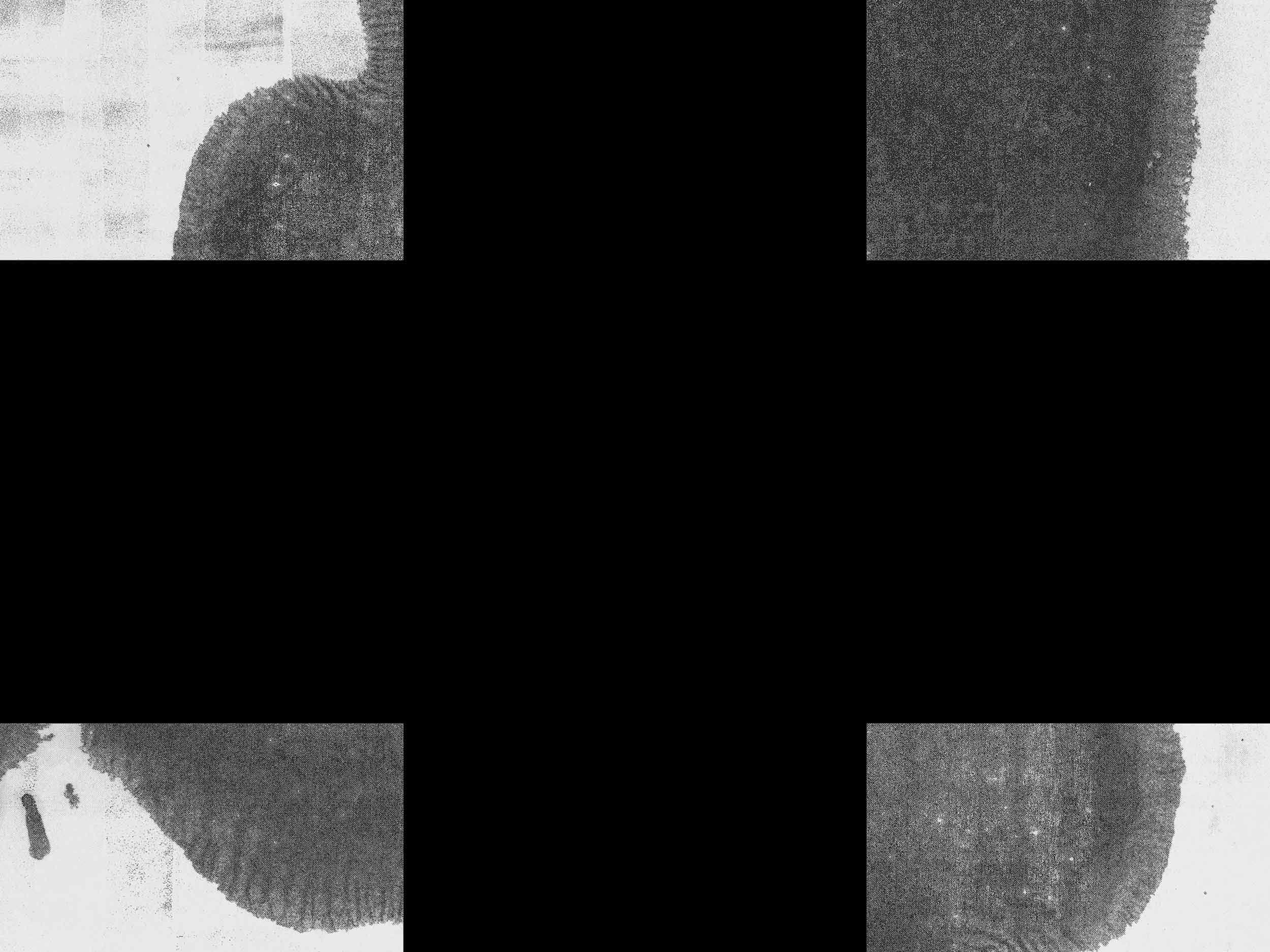 Artist Christopher Wool confronts the stark reality of a pandemic