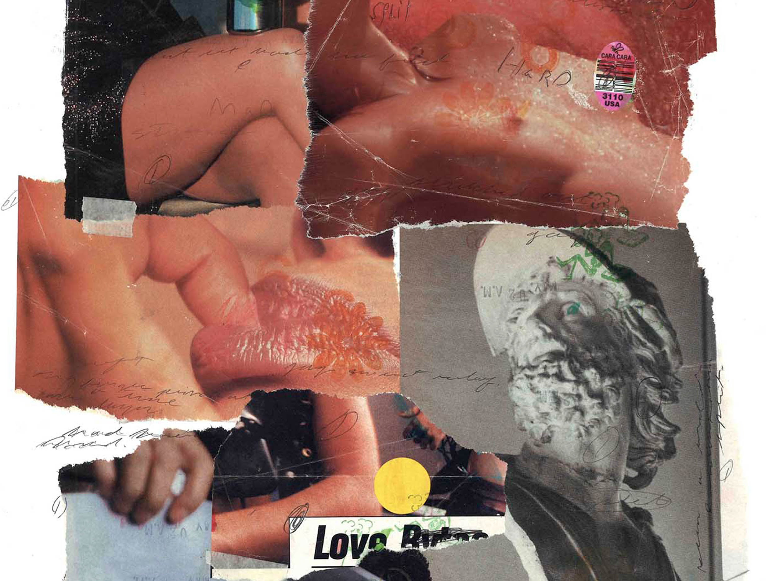 Jess Cole’s poetry wrests emotional intensity from everyday things