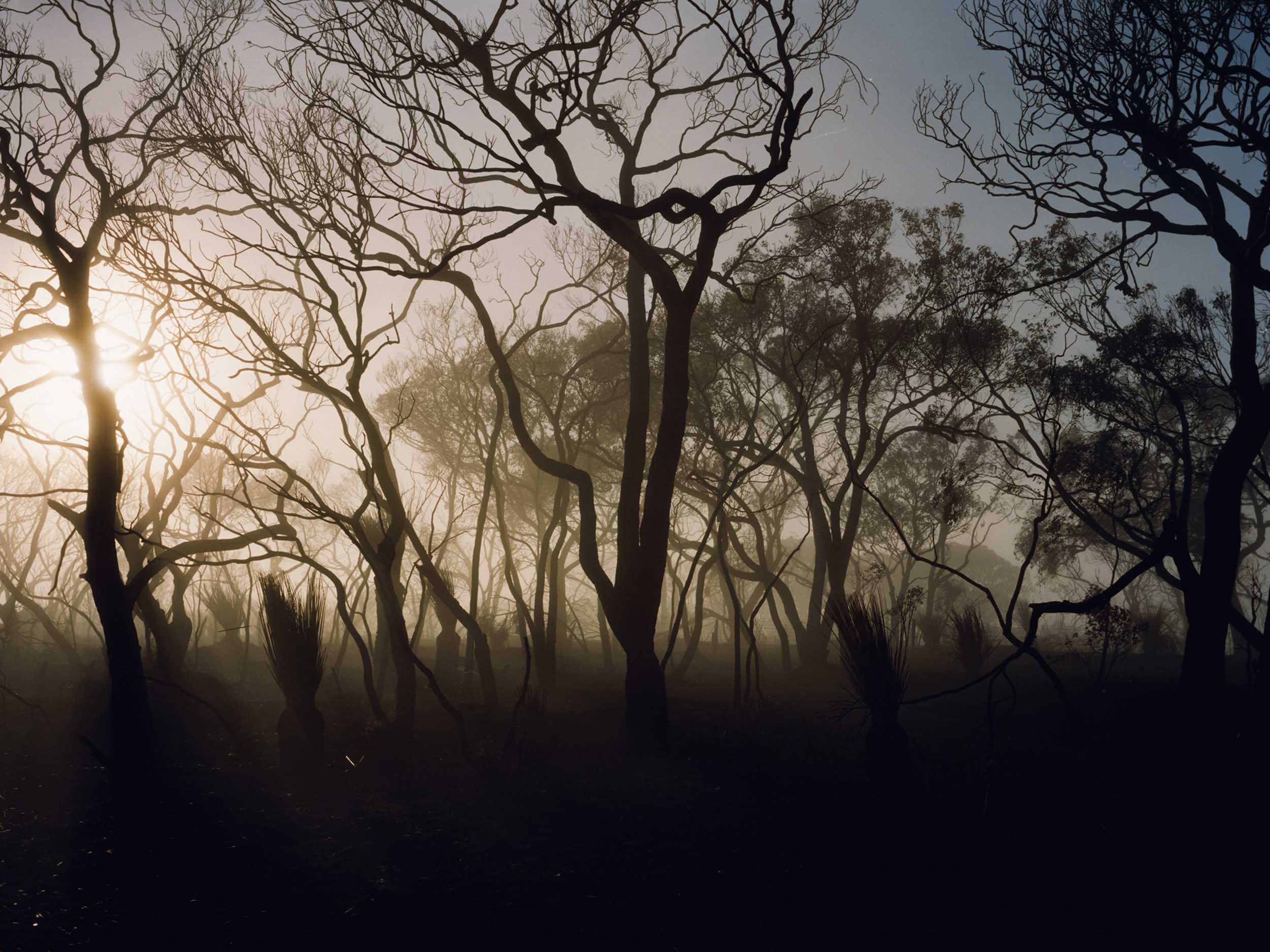 In the Australian outback, a vision of our uncertain future