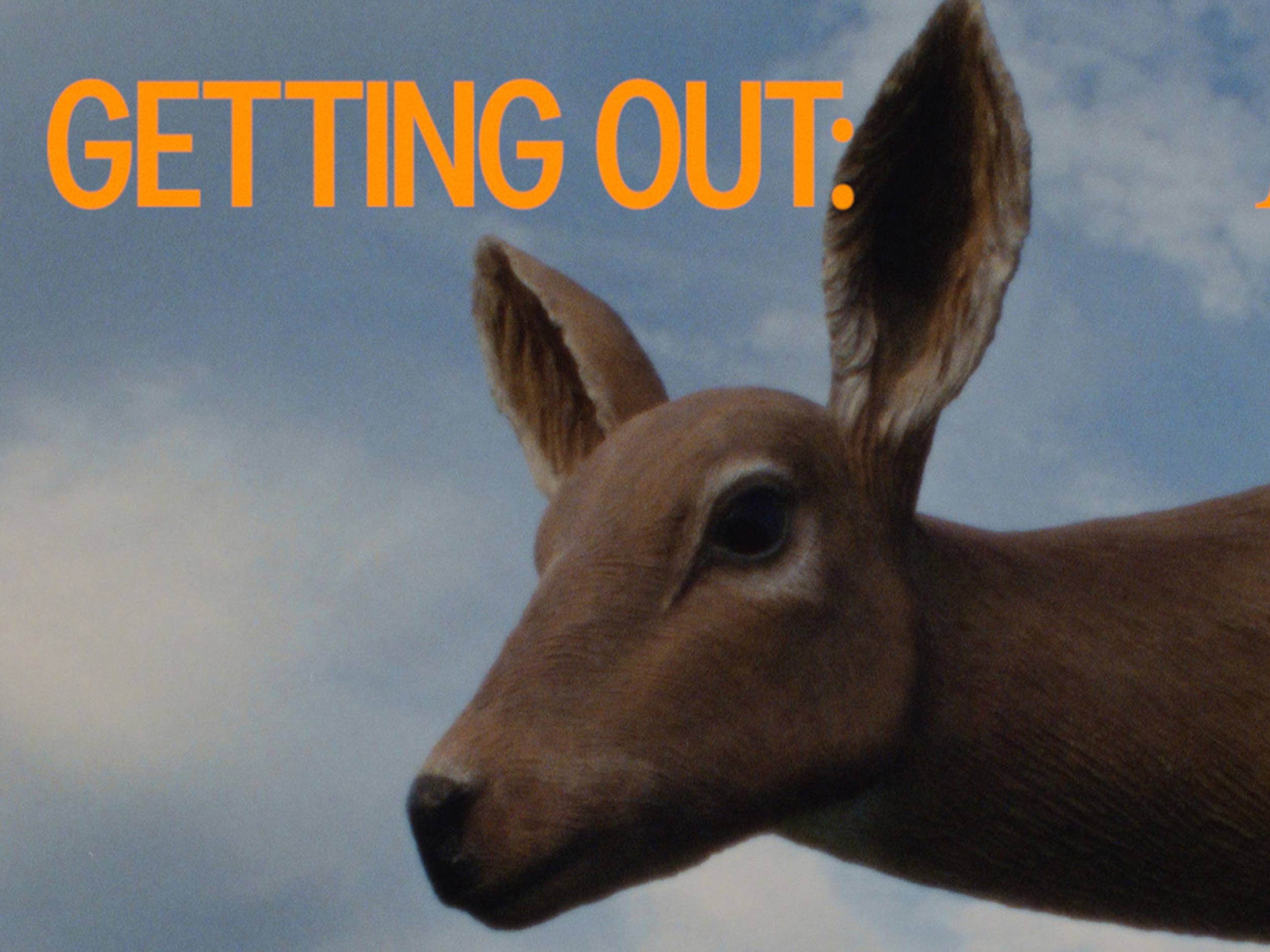 Getting Out: Art Omi, the sculpture park that will make you feel joy again