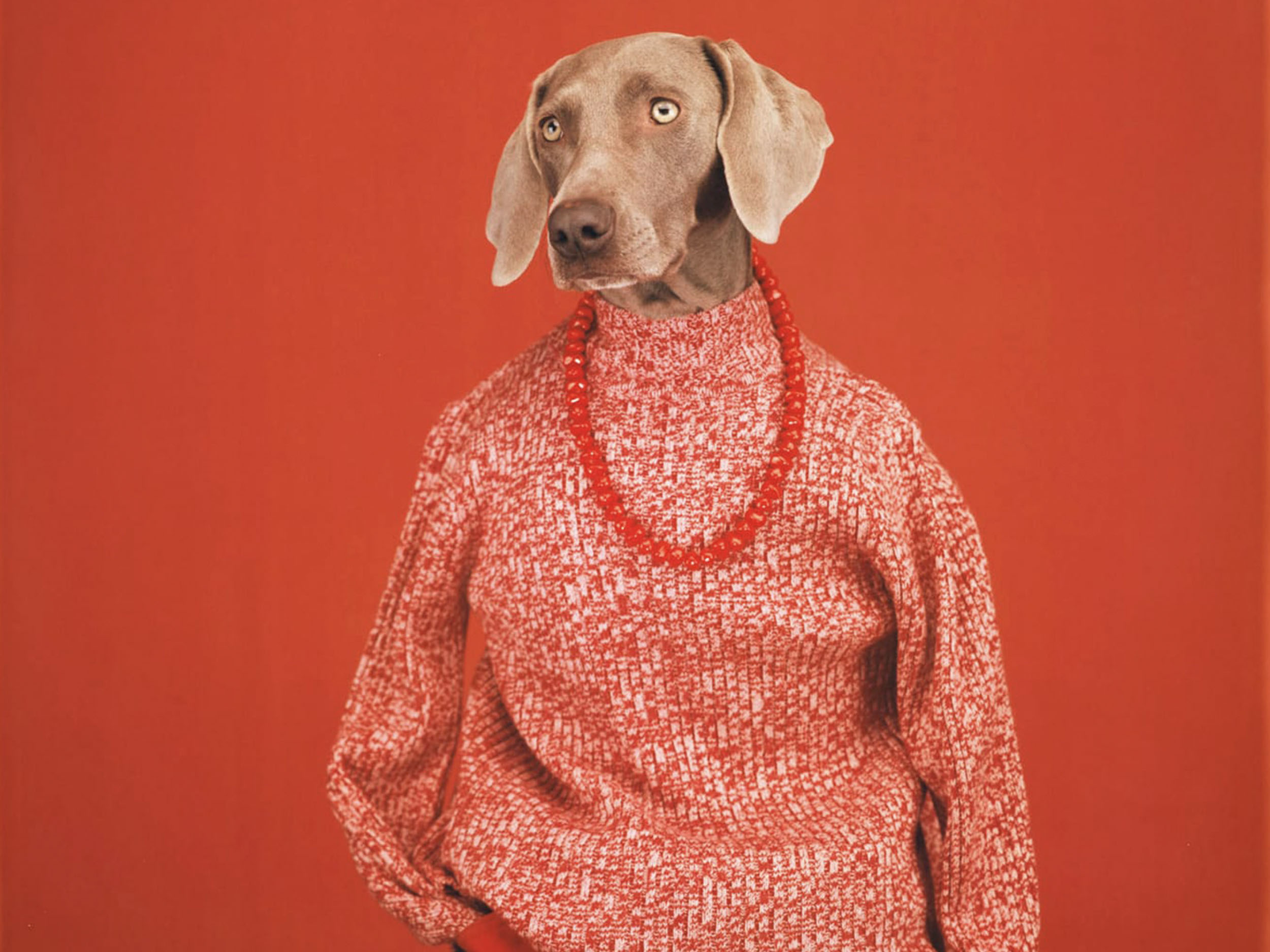 Inez & Vinoodh launch an artful challenge to the Christmas-Industrial Complex