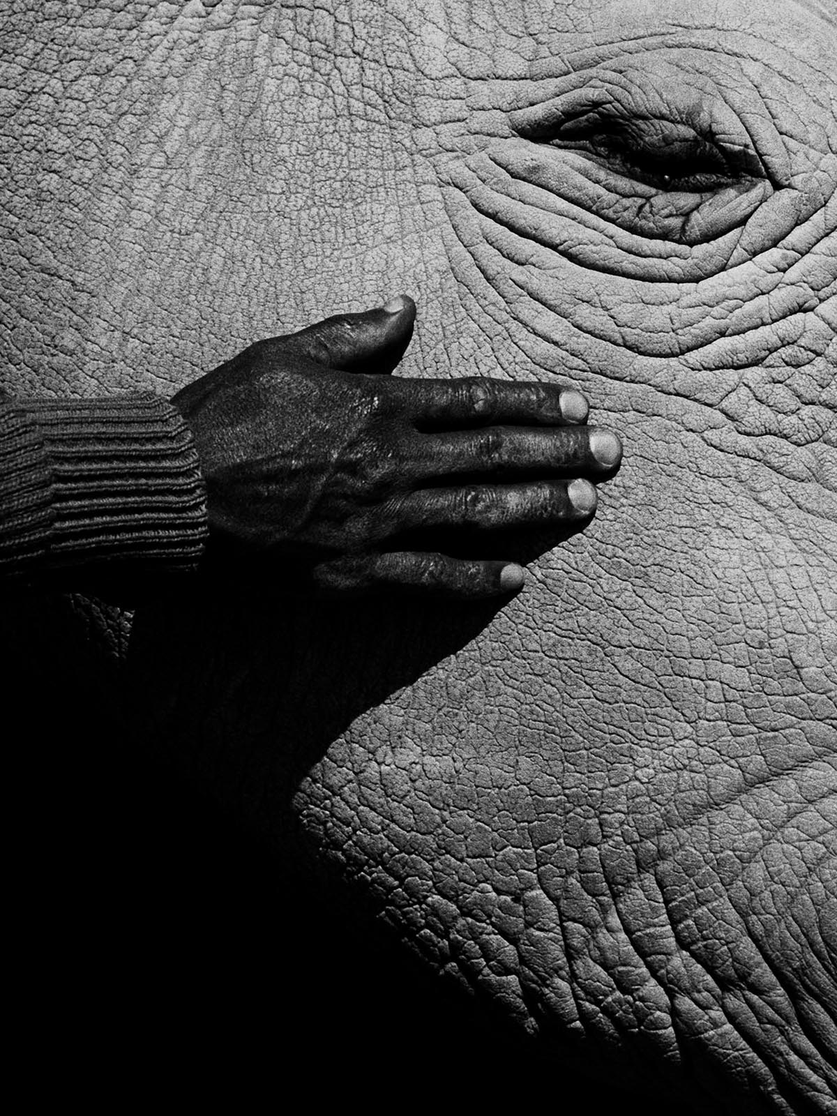 Photographer Jack Davison finds hope in the quiet of extinction