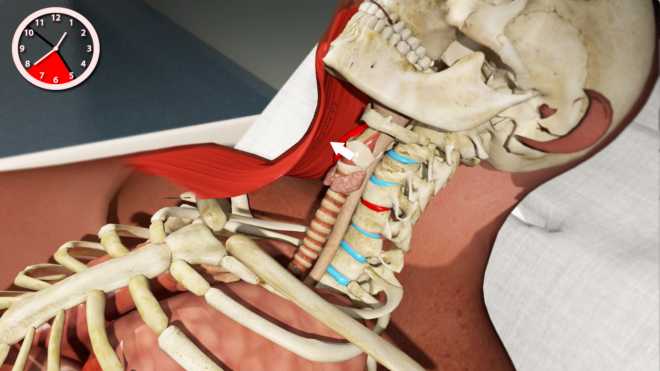 $4 Million Awarded to Widow for Medical Fraud