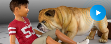 Dog Attack on Child Supported by Reconstruction and Age-Progression Animations