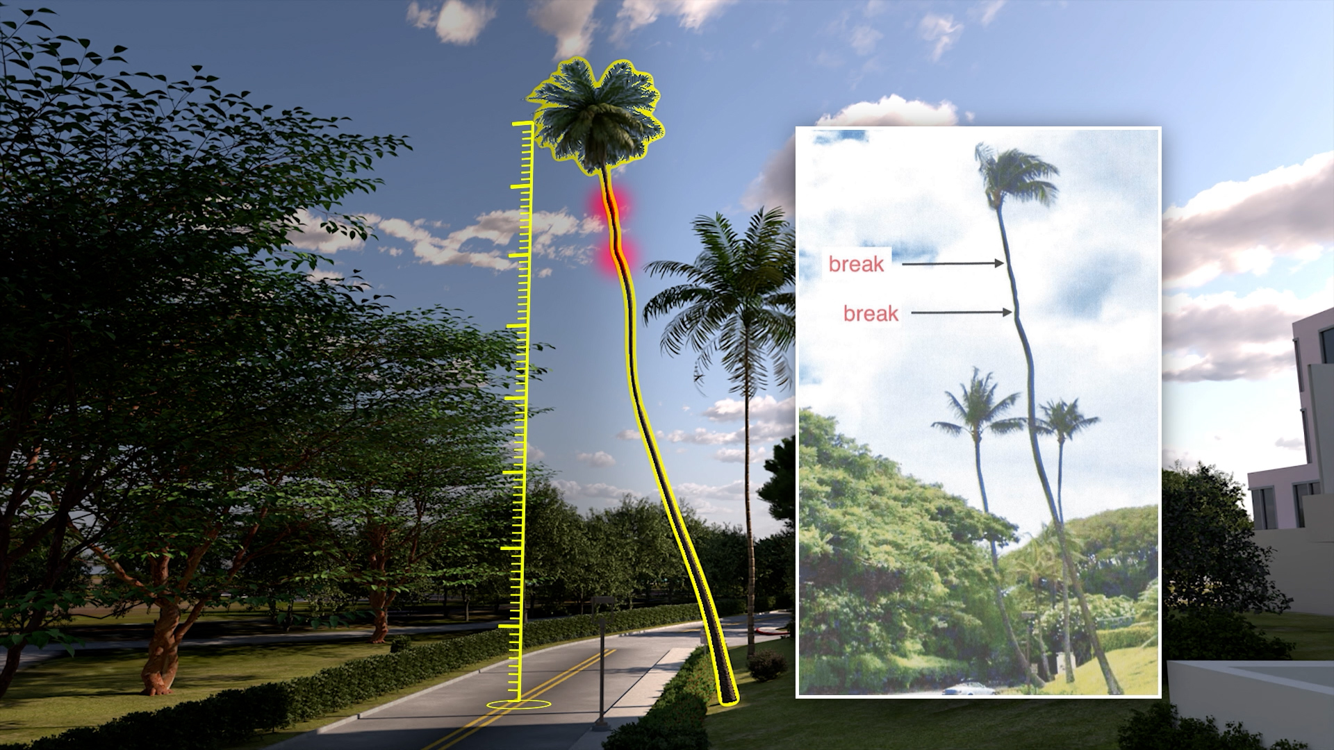 Catastrophic Injury Premises Liability Tree Palm animation for personal injury spoliation evidence case