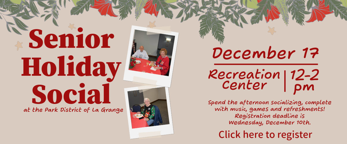 Senior holiday social 2  4 