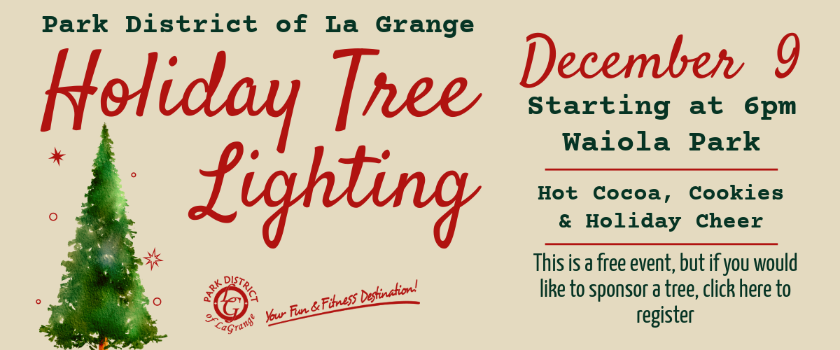 Holiday tree lighting 5