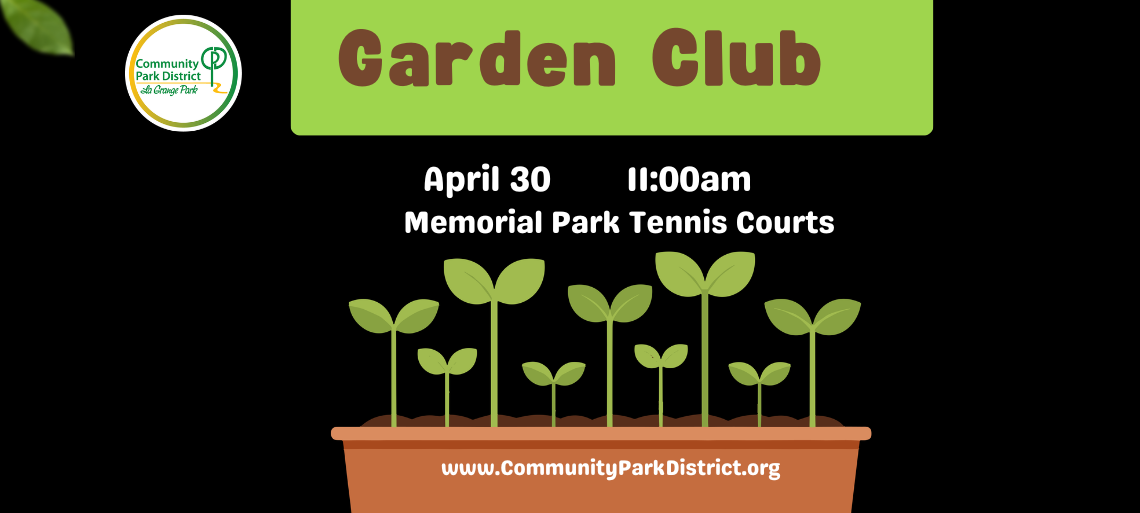 Winter spring slider  14 