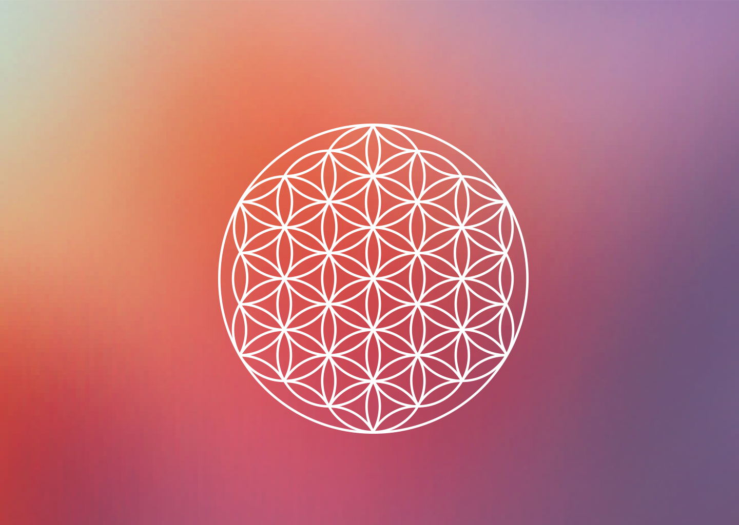 Flower of Life Digital Wallpaper • Danielle LaPorte: white ...