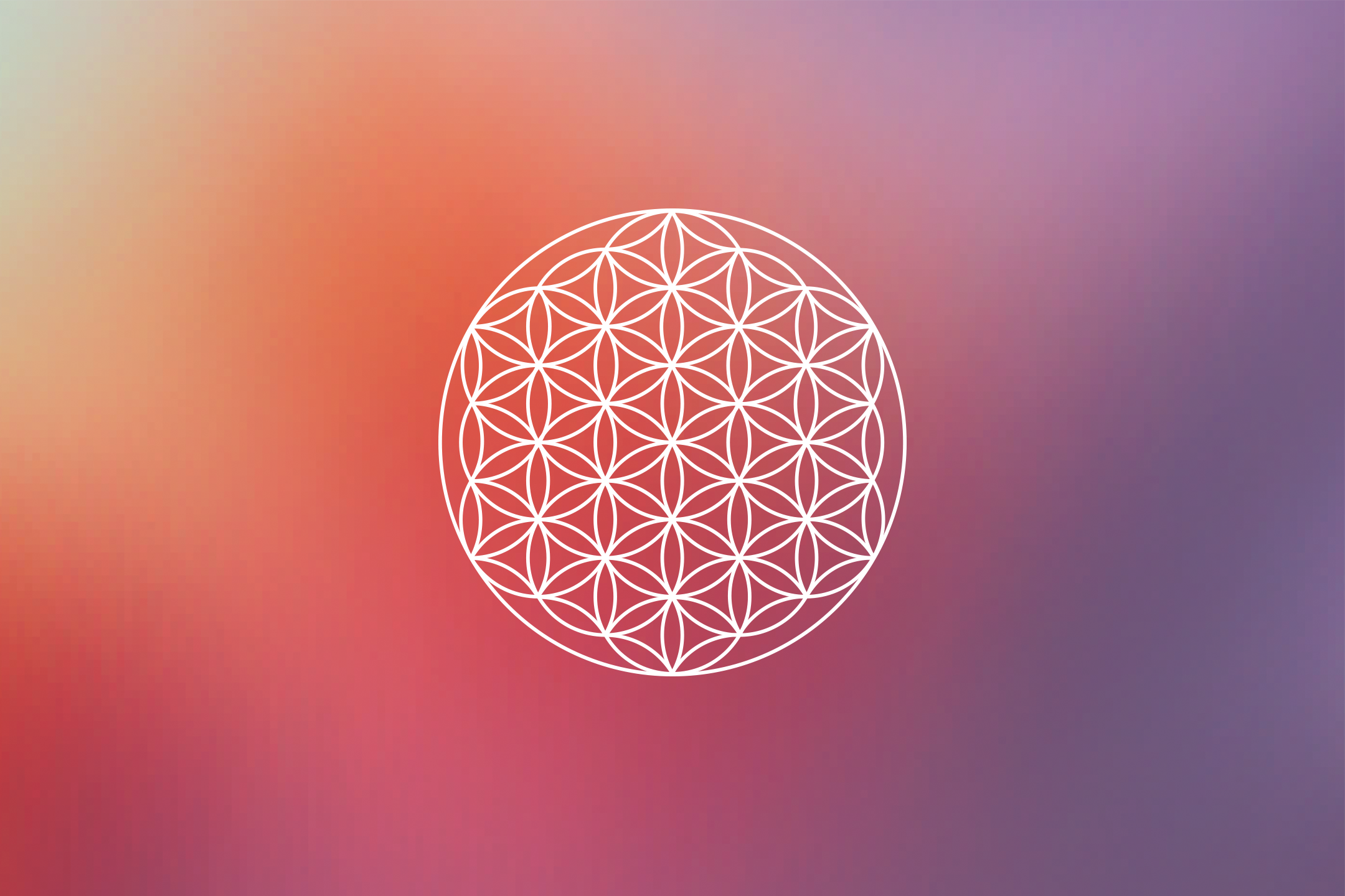 Flower of Life Digital Wallpaper • Danielle LaPorte white