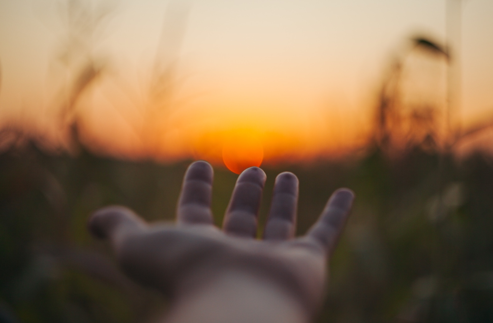 Hand reaching toward the sun