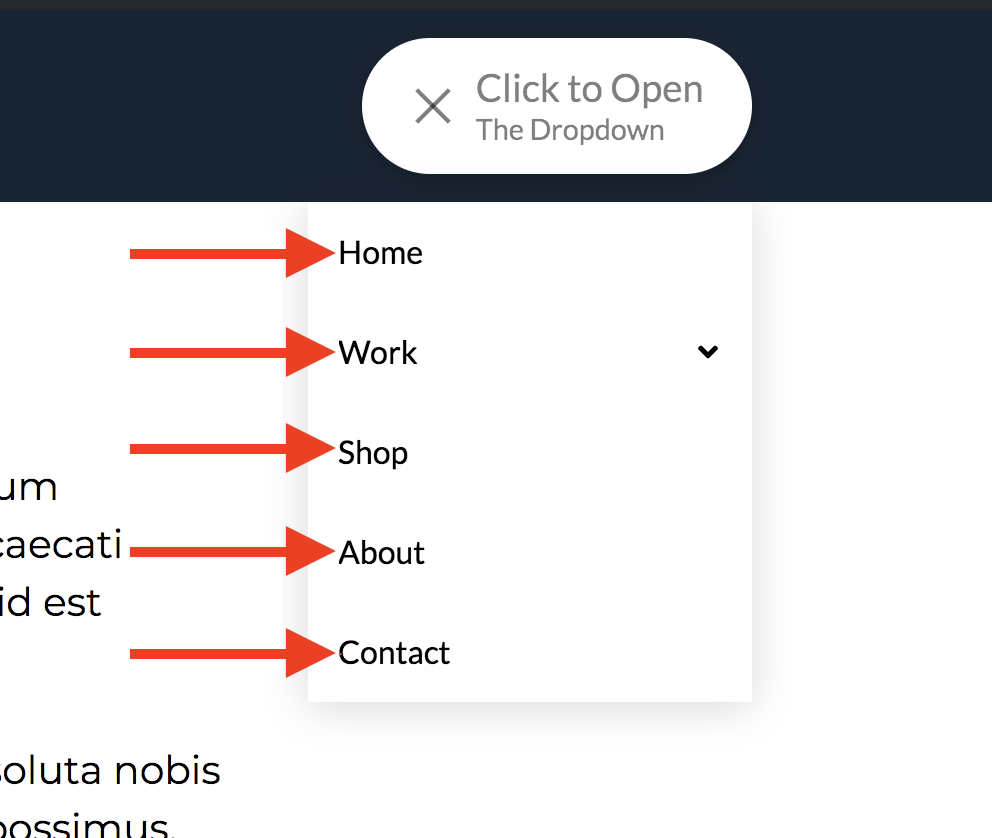 Navigation Dropdown Link Settings