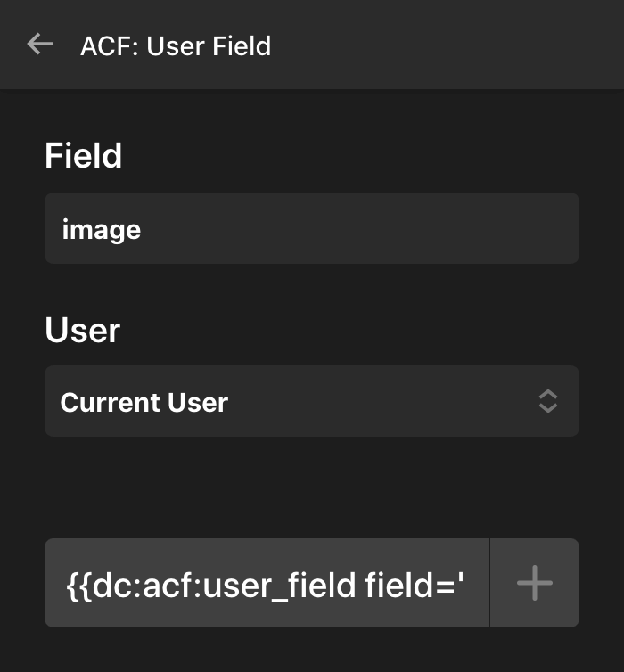 ACF Pro Dynamic Content and Looper Example