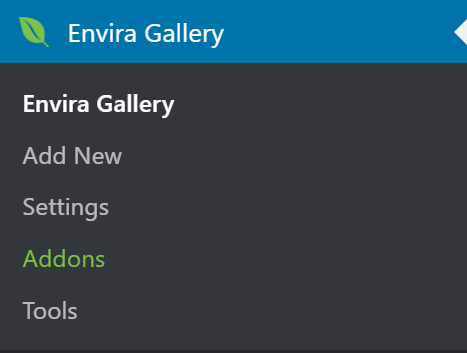 Envira Gallery Tab