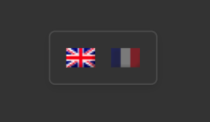 WPML Language Switcher