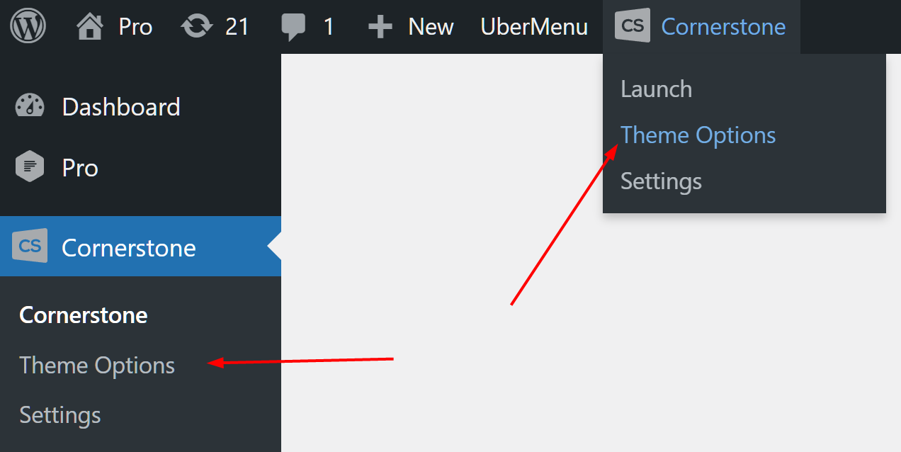 Theme Options Stack