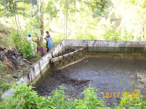 Figure 3. A drained pond showing the compost bin in the top left corner. Photo by William Mebane.