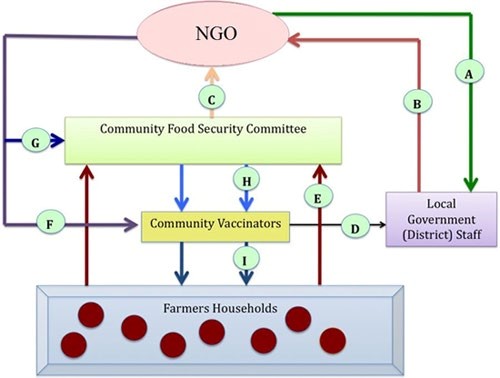 Figure 1: A: NGO facilitation of the district staff B: District staff submits progress reports to NGO C: CFSC reports to NGO D: Community Vaccinators report to the district staff E: Farmer households nominate members to CFSC F: NGO support (e.g. training) to community vaccinators G: NGO support to CFSC H: CFSC supervises community vaccinators I: Community vaccinators vaccinate chickens at farmer household levels