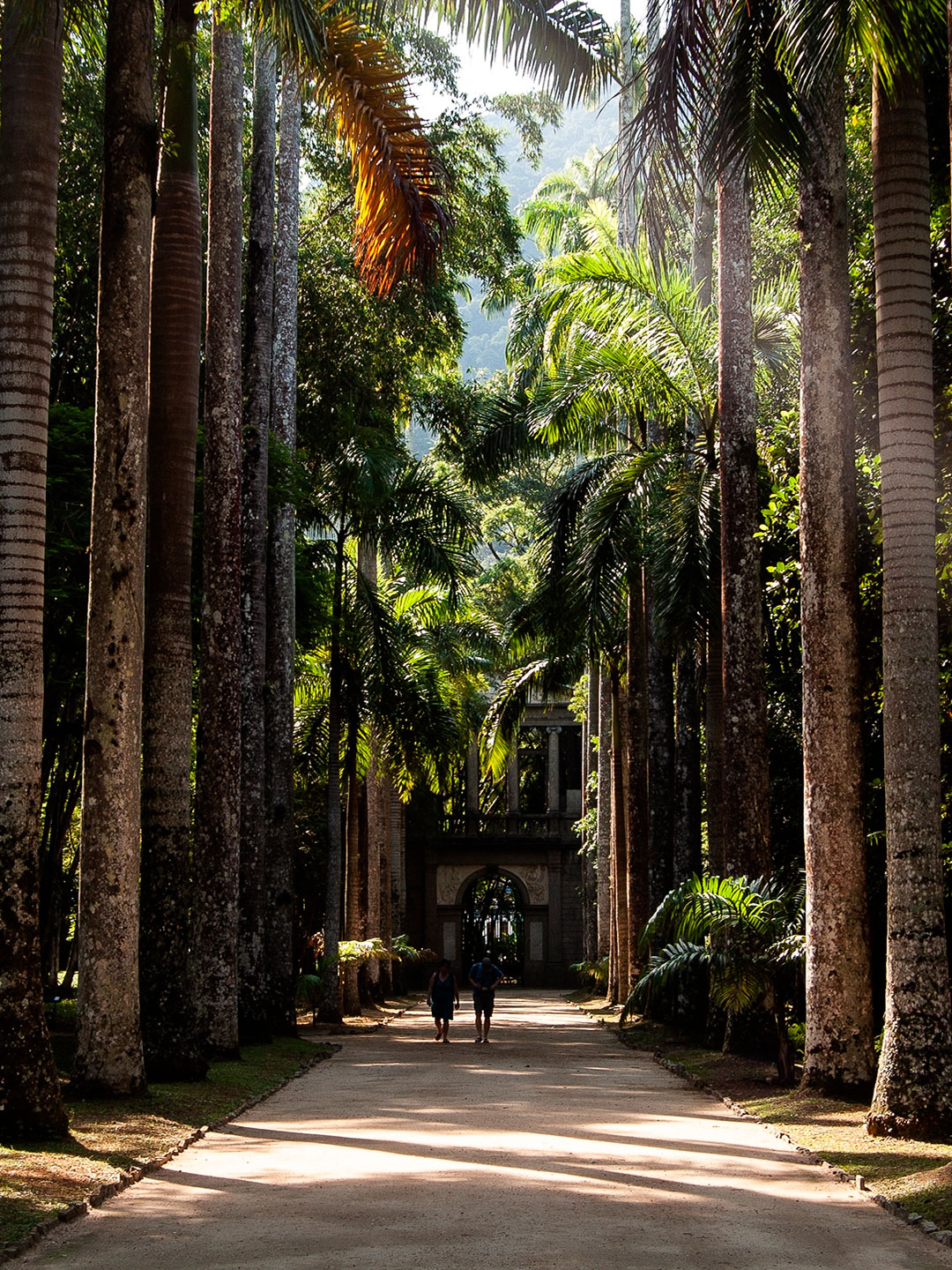 Foto do bairro Jardim Botânico