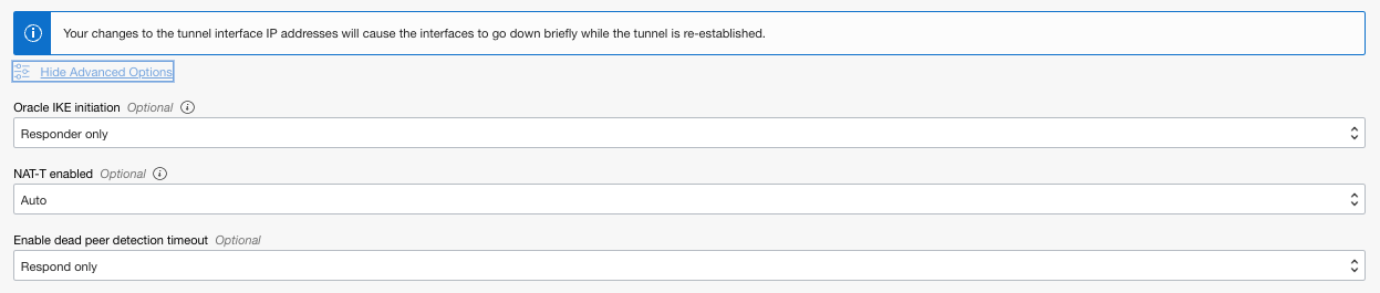 The Advanced Options in the Edit Tunnel interface for the 2nd tunnel