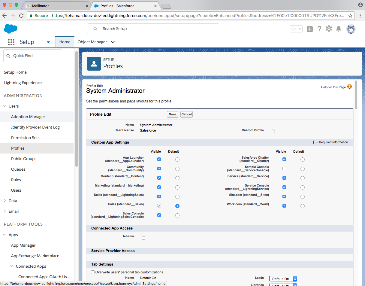 developer salesforce domain edit sysadmin user profile