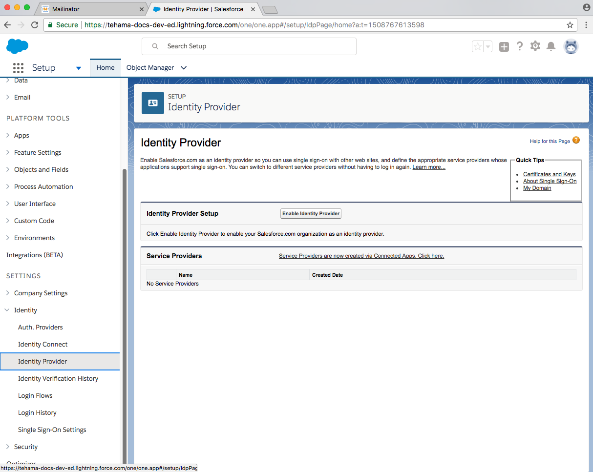 developer salesforce domain identity_provider
