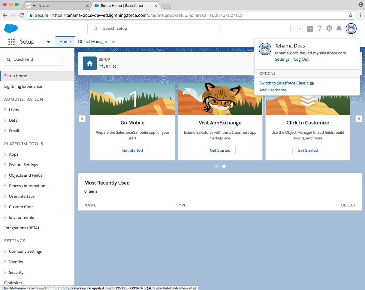 developer salesforce domain logged in