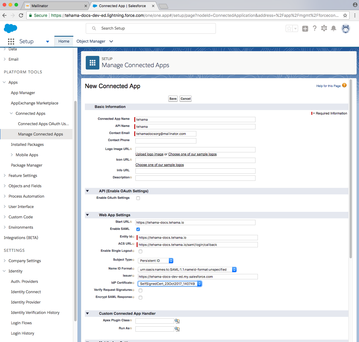 developer salesforce domain manage new app