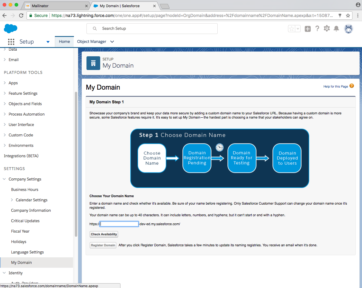 developer salesforce domain page