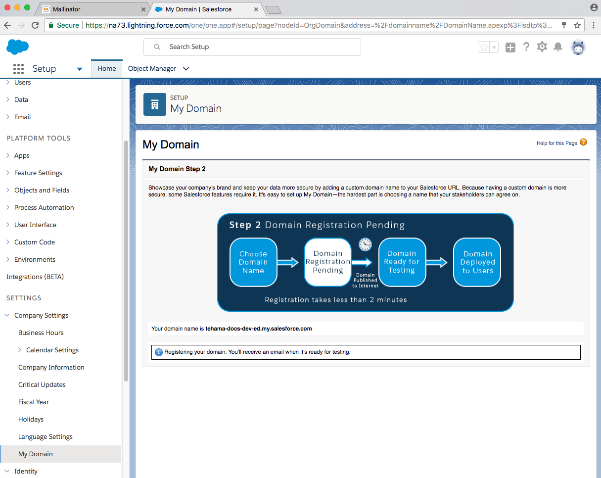 developer salesforce domain registering page