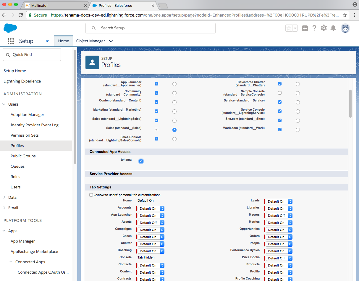 developer salesforce domain sysadmin user access app