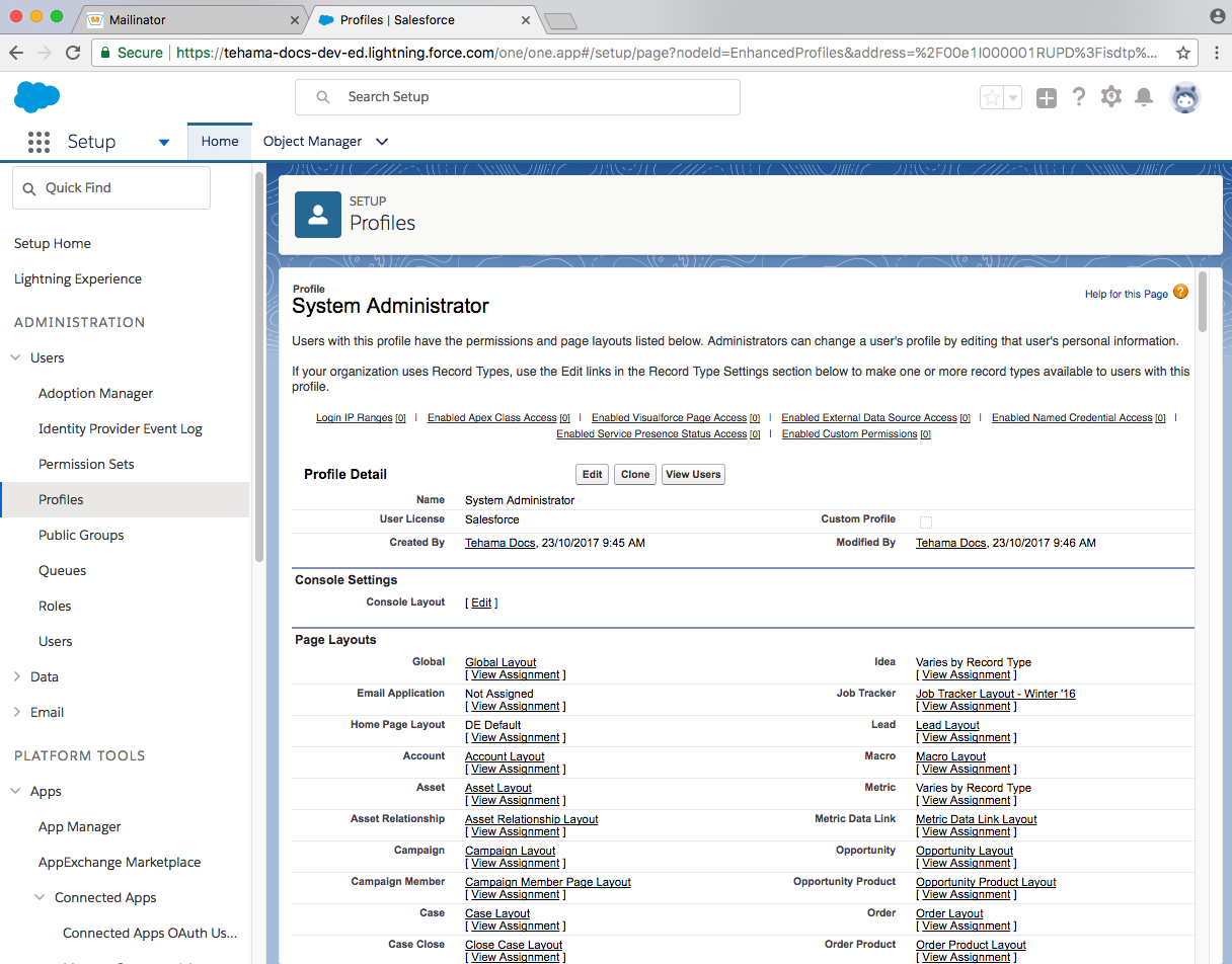 developer salesforce domain sysadmin user profile