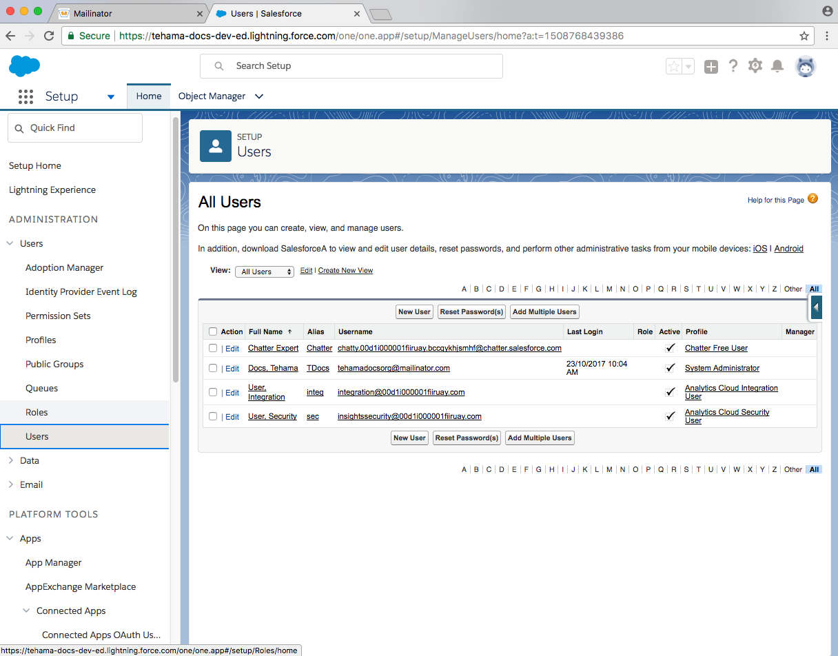 developer salesforce domain users page
