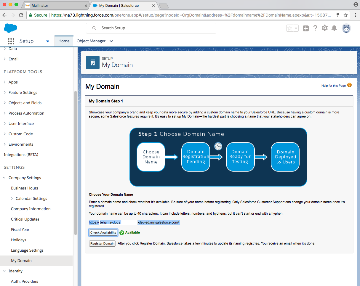 developer salesforce domain page filled out