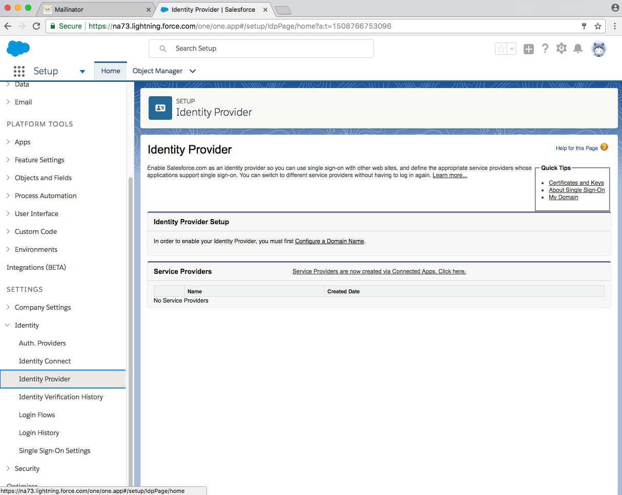 developer salesforce identity provider page