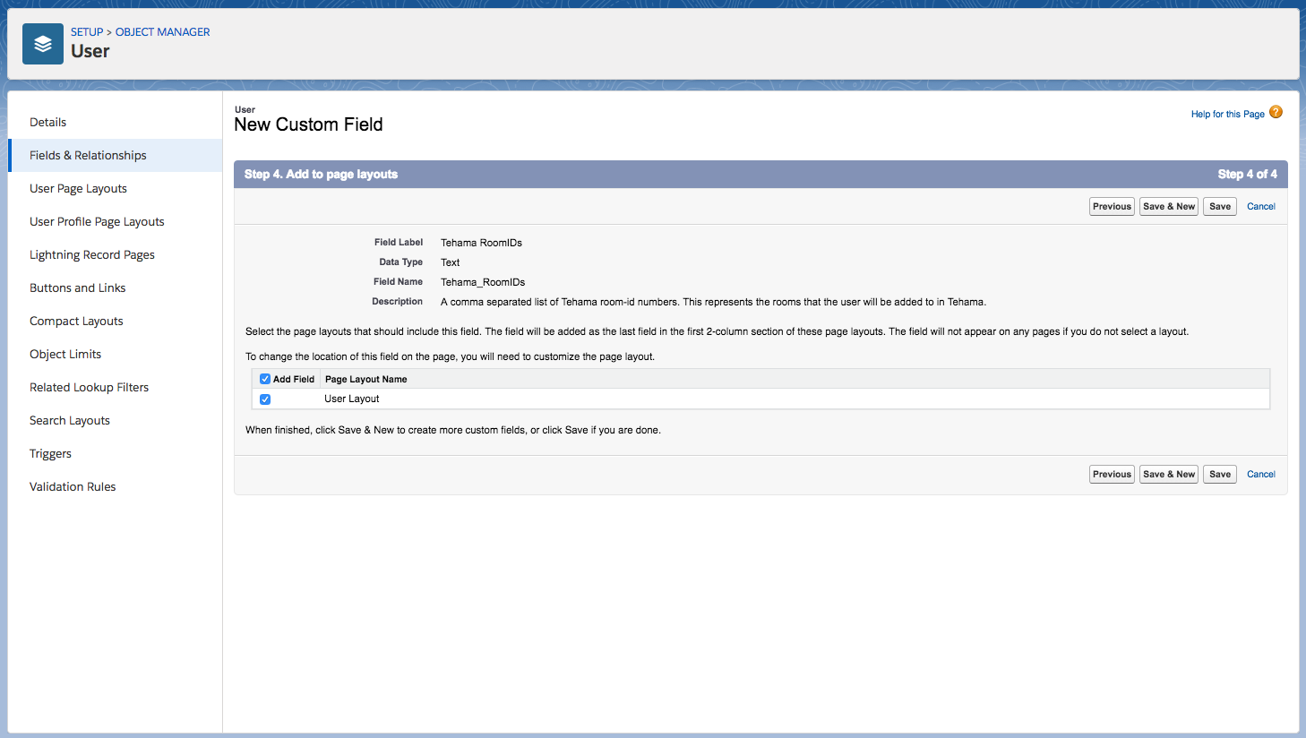 User new field of type text add-to-page-layout
