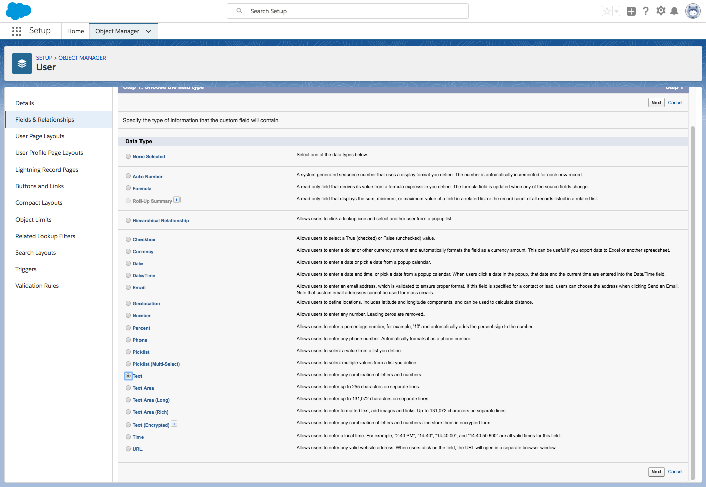 User new field of type text