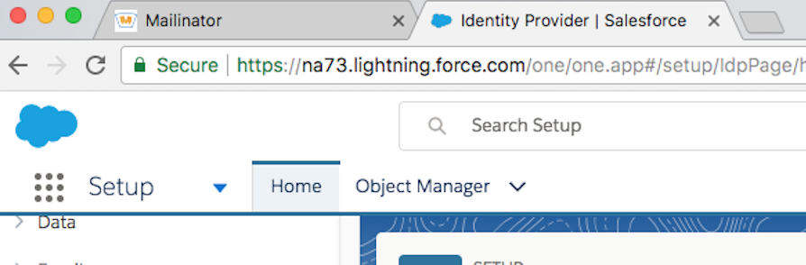 developer salesforce setup page