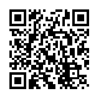 mobi_apple_max_qr