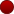 script_build_breakpoint_icon