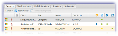 teamviewer_button_dashboard