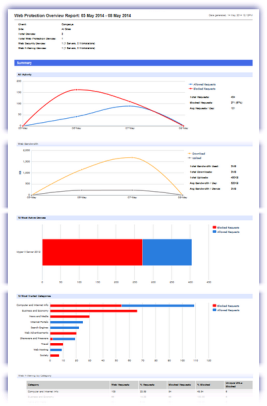 wp_overview_report_example