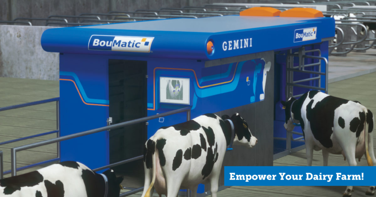 BouMatic introduces Gemini: the milking robot that doubles… | BouMatic