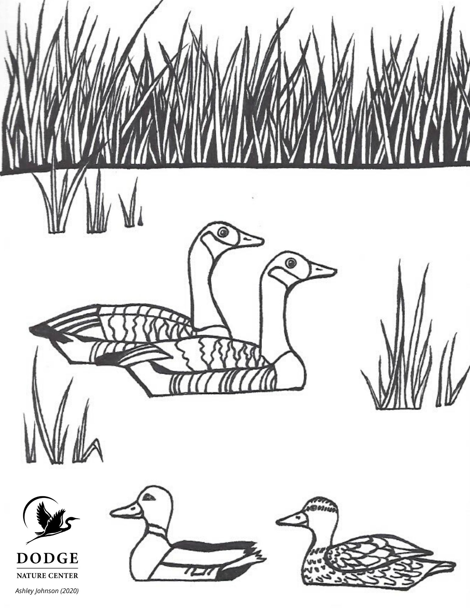 Virtual Learning with Dodge | Dodge Nature Center