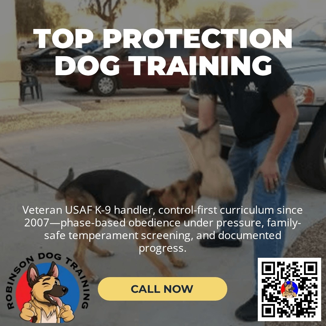 Board & Train (1–3 Weeks)