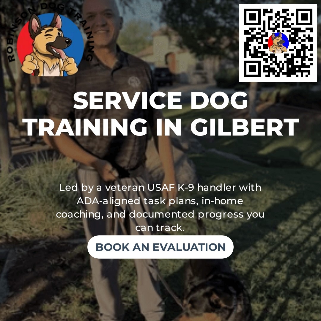 In-Home Obedience Training