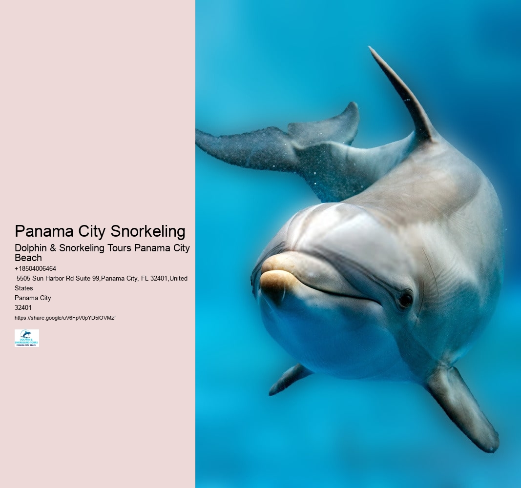 Panama City Snorkeling