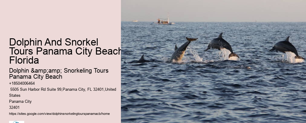 Dolphin And Snorkel Tours Panama City Beach Florida